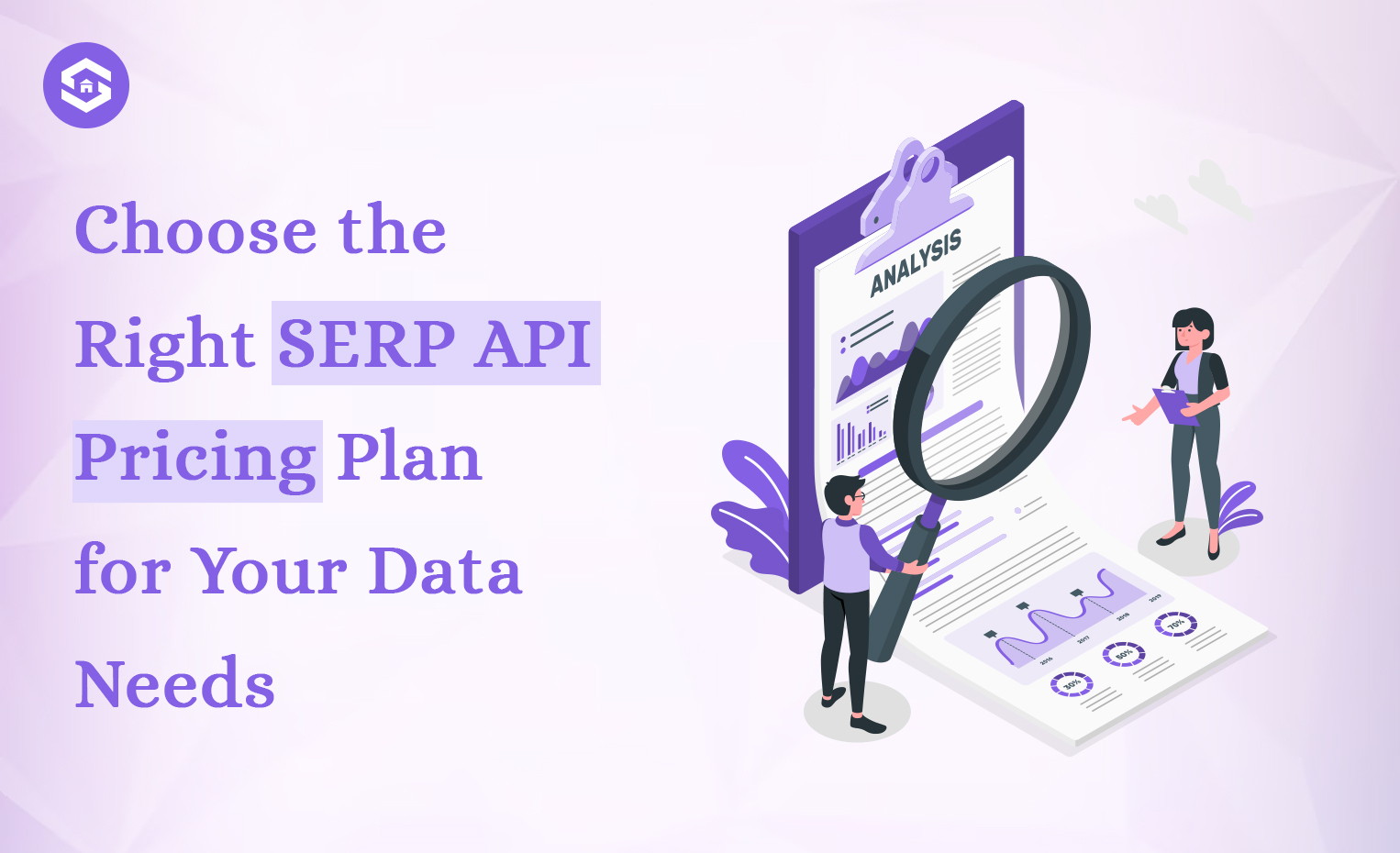 Perfect SERP API Pricing Plan for Your Data Requirements