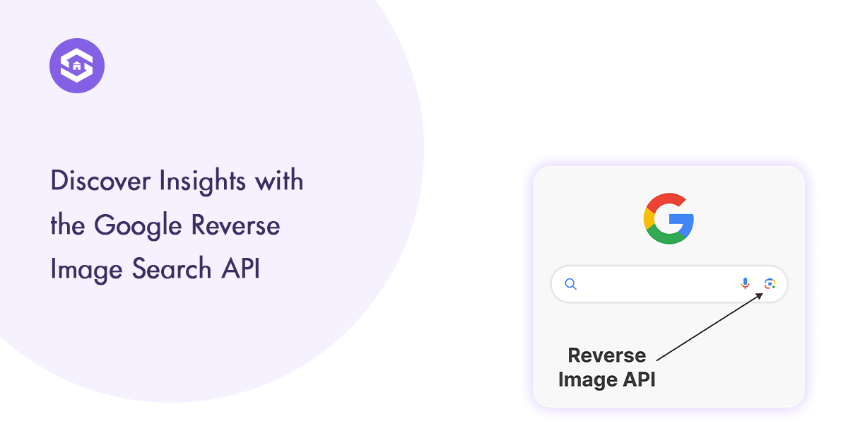 Getting Insights with the Google Reverse Image Search API